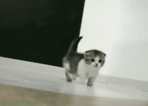 gif réseaux sociaux b2b